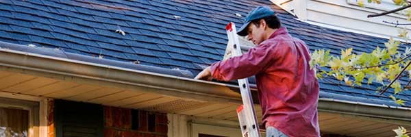 Man uses an extension ladder to clean leaves out of gutter