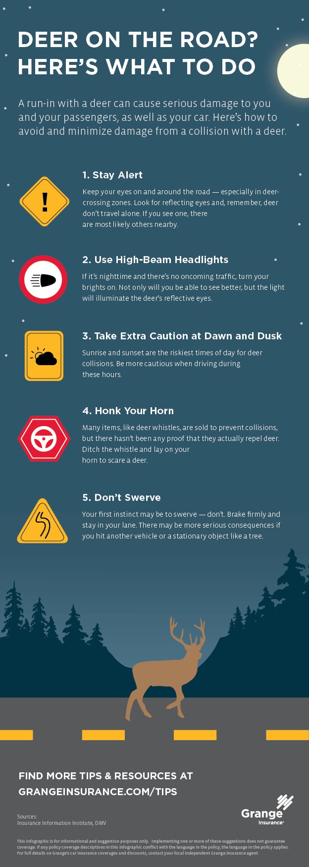 Deer on the road? Here's what to do | Tips & Resources | Grange Insurance