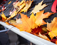 Fallen leaves cover the roof and gutters of a gray house.