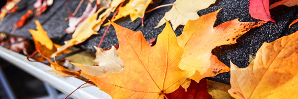Fallen leaves cover the roof and gutters of a gray house.