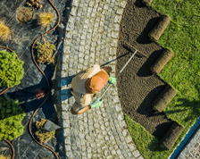 An aerial view of a landscaper tending to soil next to rolled sod and a variety of planted shrubs.