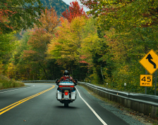 Motorcycle parked on a tree-lined street