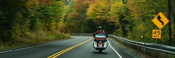 A motorcyclist drives a black and white bike down a windy road surrounded by trees.