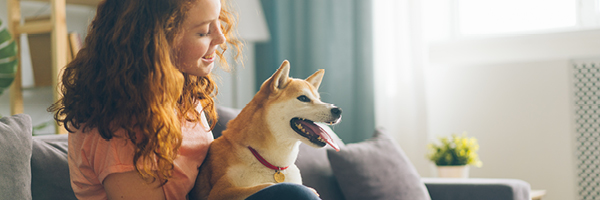 Young woman sits on the couch in her apartment and holds a Shiba Inu on her lap.