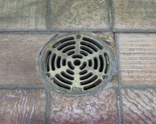 Shower floor drain