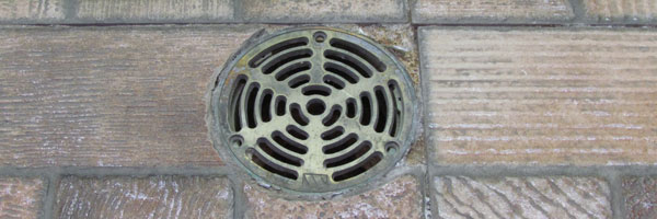 Shower floor drain