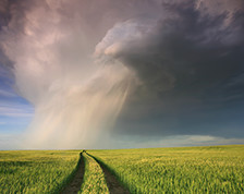 Protect your home from high winds