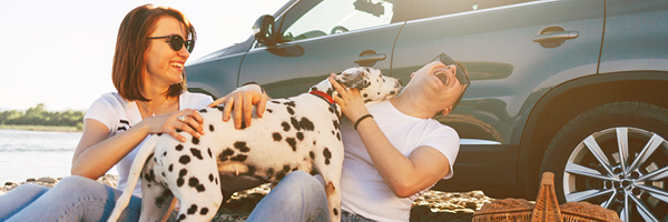 man and woman with dog having a picnic in front of car